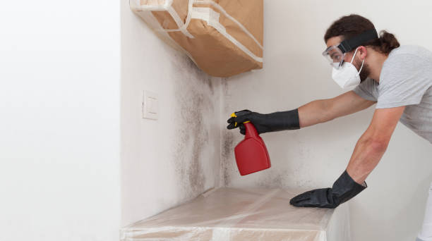 Professional Bathroom Mold Removal technician working in Little Ferry, NJ